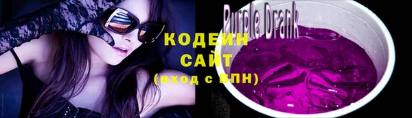 не бодяженный Гусь-Хрустальный