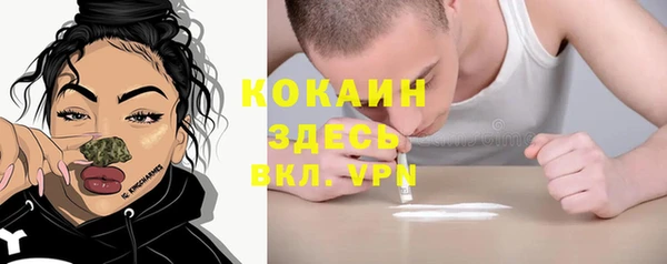 не бодяженный Гусь-Хрустальный