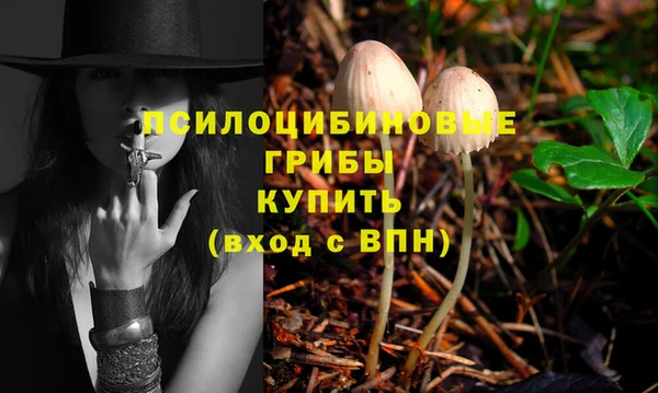 амфетамин Гусиноозёрск